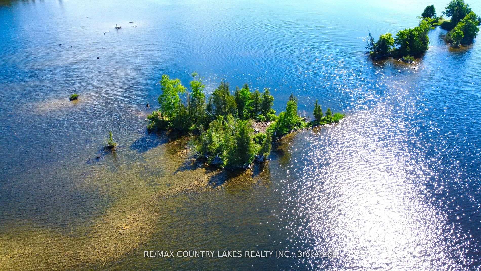 Photo 4 of Lt 1 Island, Kawartha Lakes, Carden — HOMEH