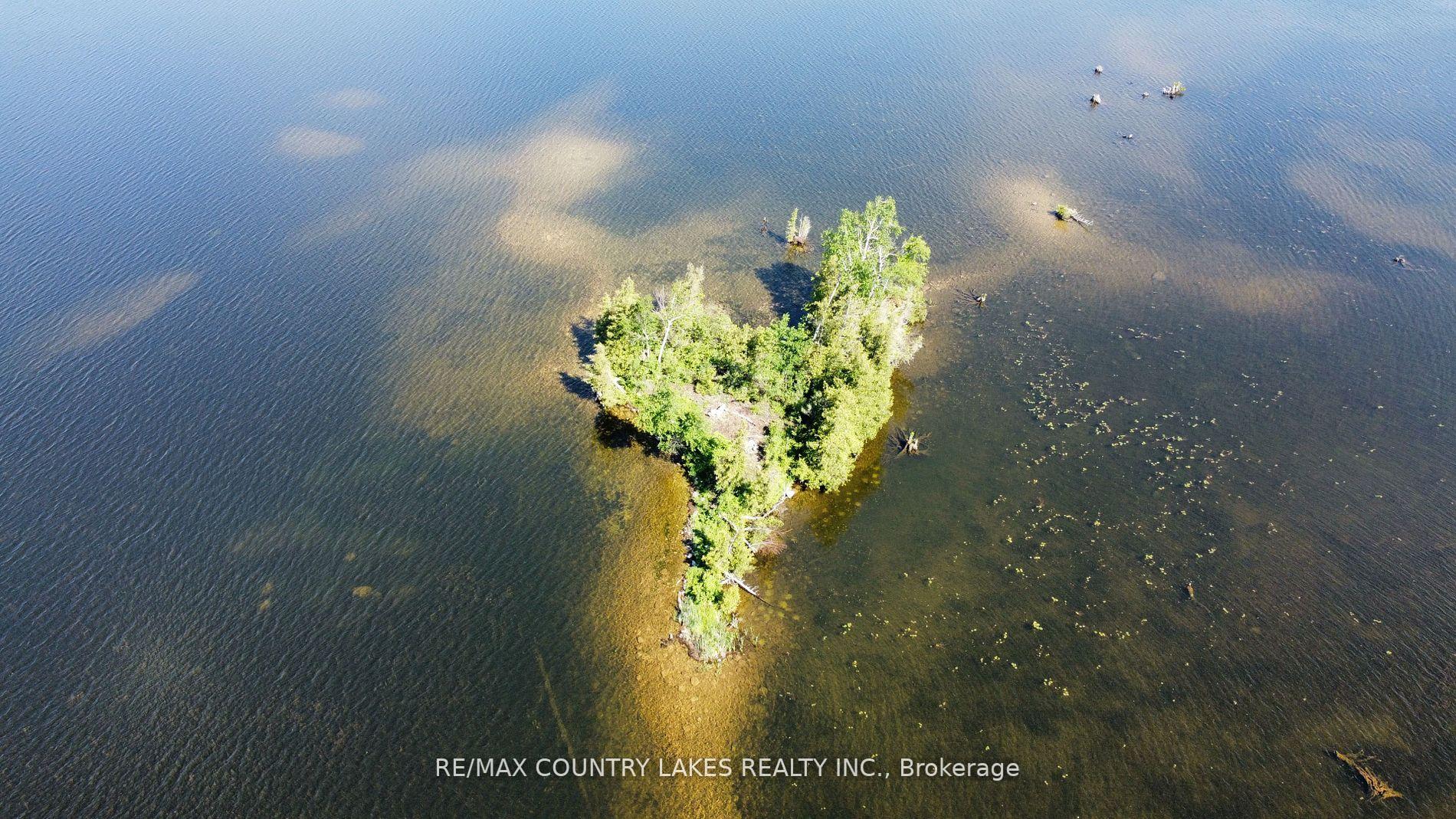 Photo 5 of Lt 1 Island, Kawartha Lakes, Carden — HOMEH