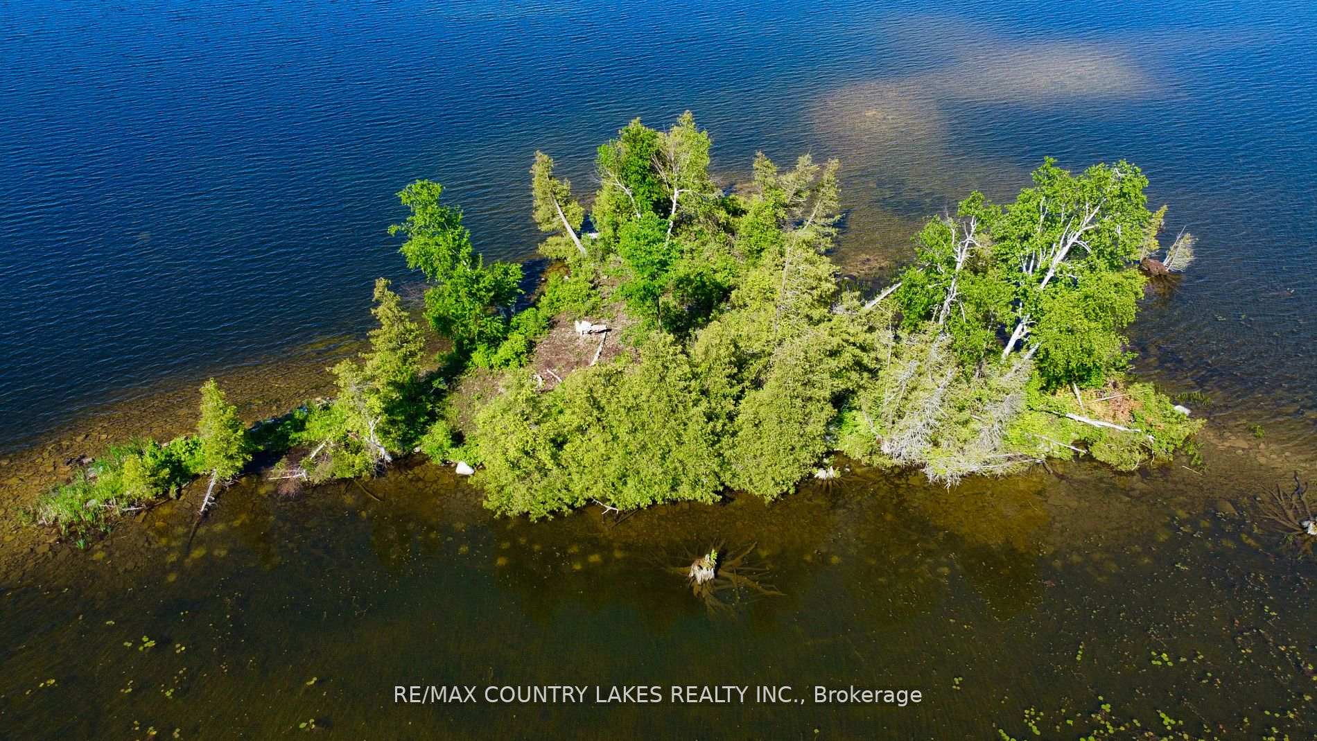 Photo 6 of Lt 1 Island, Kawartha Lakes, Carden — HOMEH
