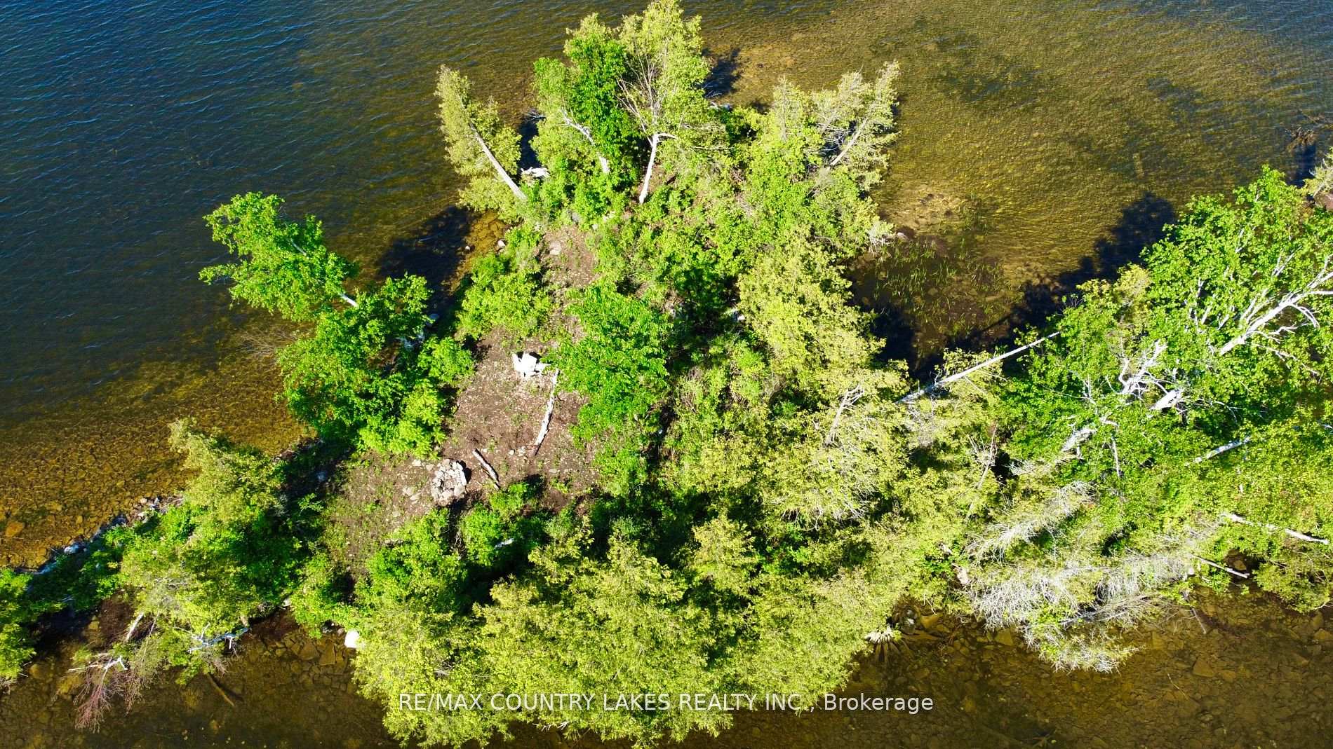 Photo 8 of Lt 1 Island, Kawartha Lakes, Carden — HOMEH