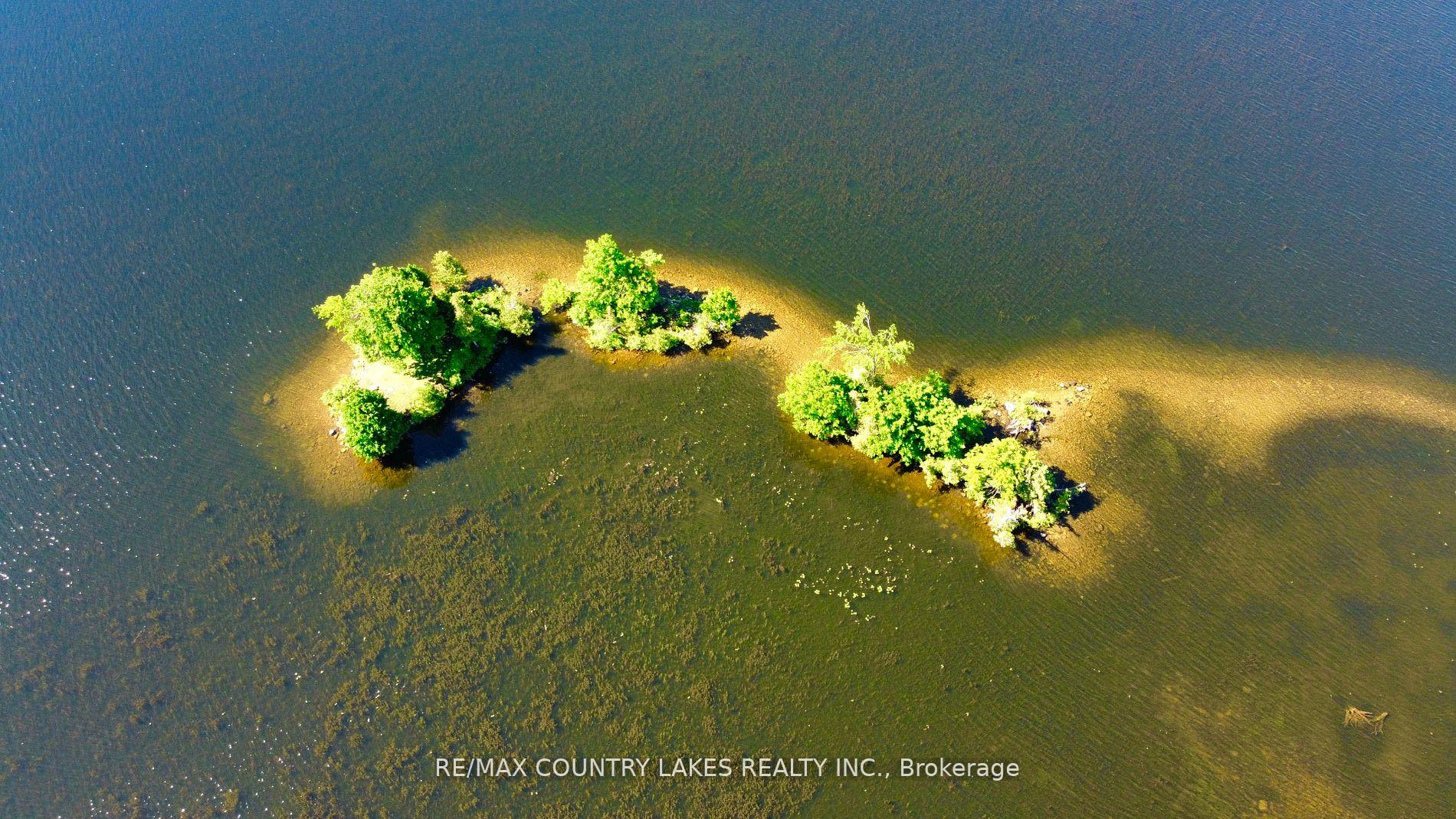 Photo 9 of Lt 1 Island, Kawartha Lakes, Carden — HOMEH