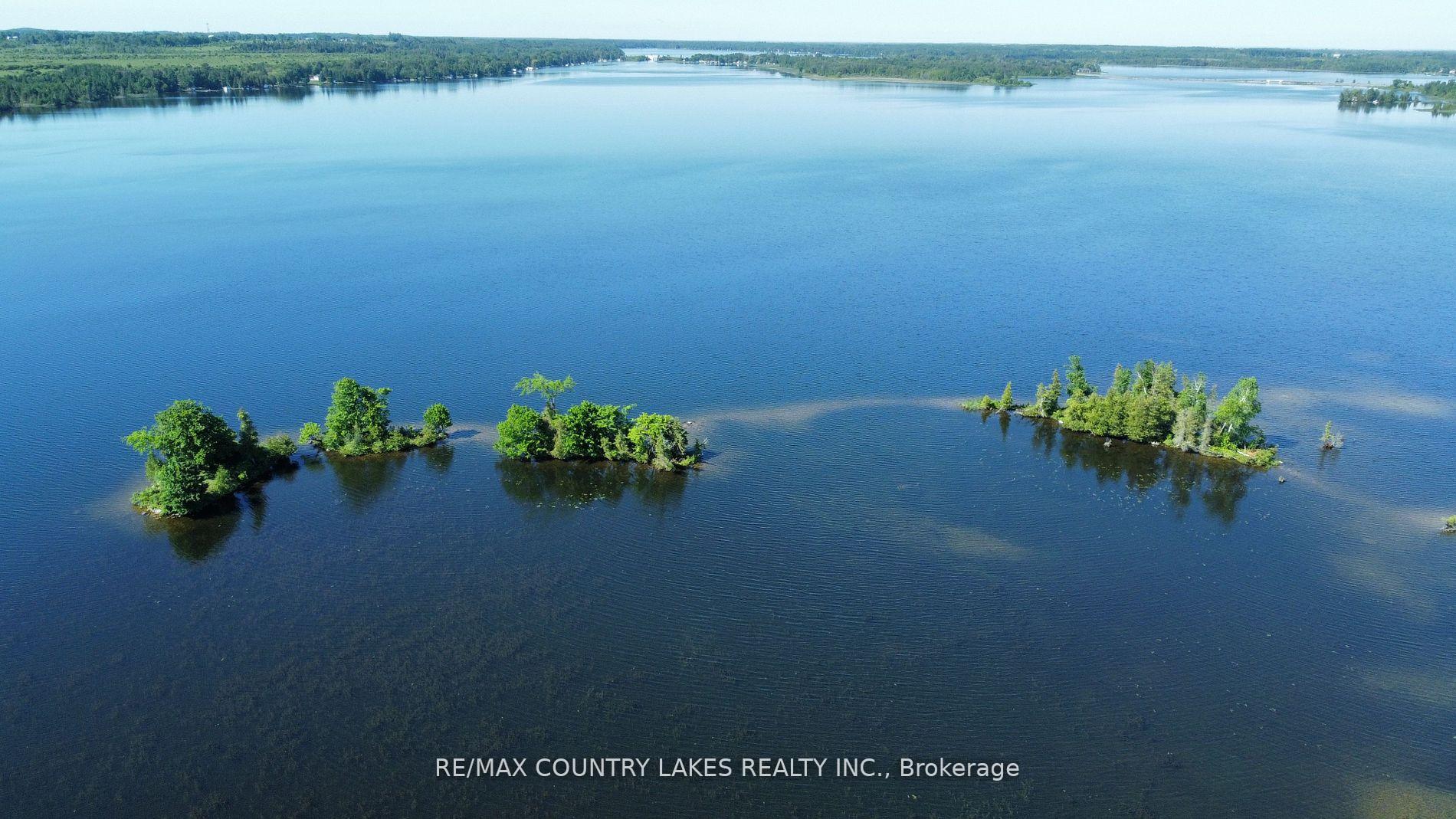 Photo 10 of Lt 1 Island, Kawartha Lakes, Carden — HOMEH