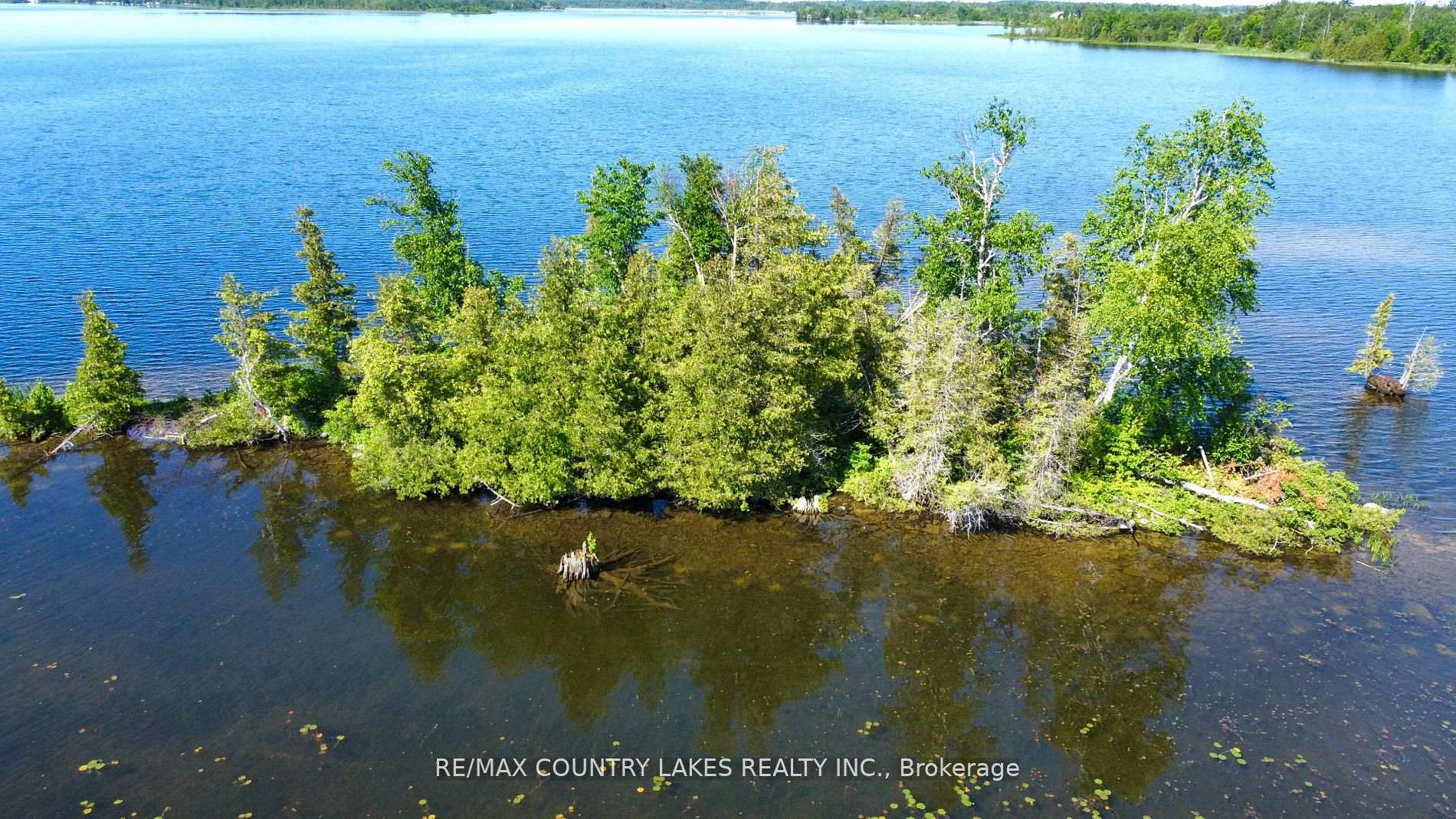 Photo 11 of Lt 1 Island, Kawartha Lakes, Carden — HOMEH