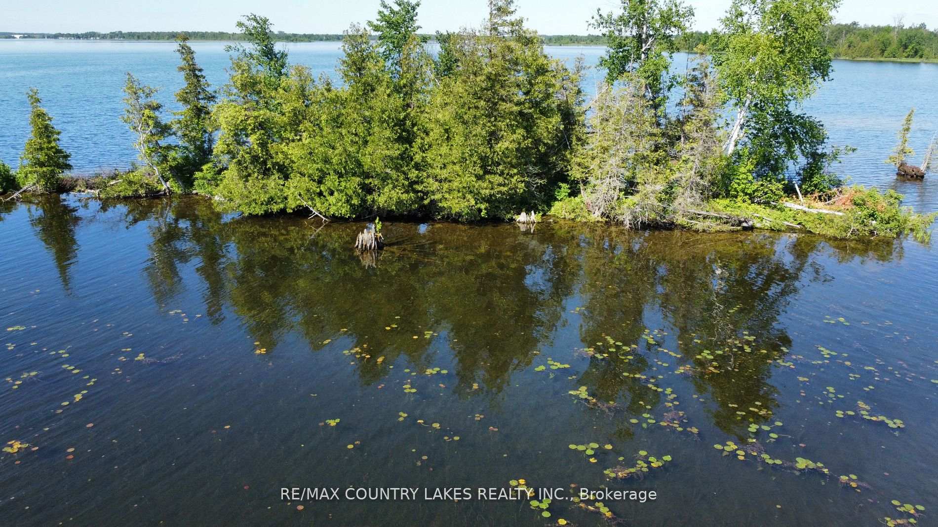 Photo 12 of Lt 1 Island, Kawartha Lakes, Carden — HOMEH