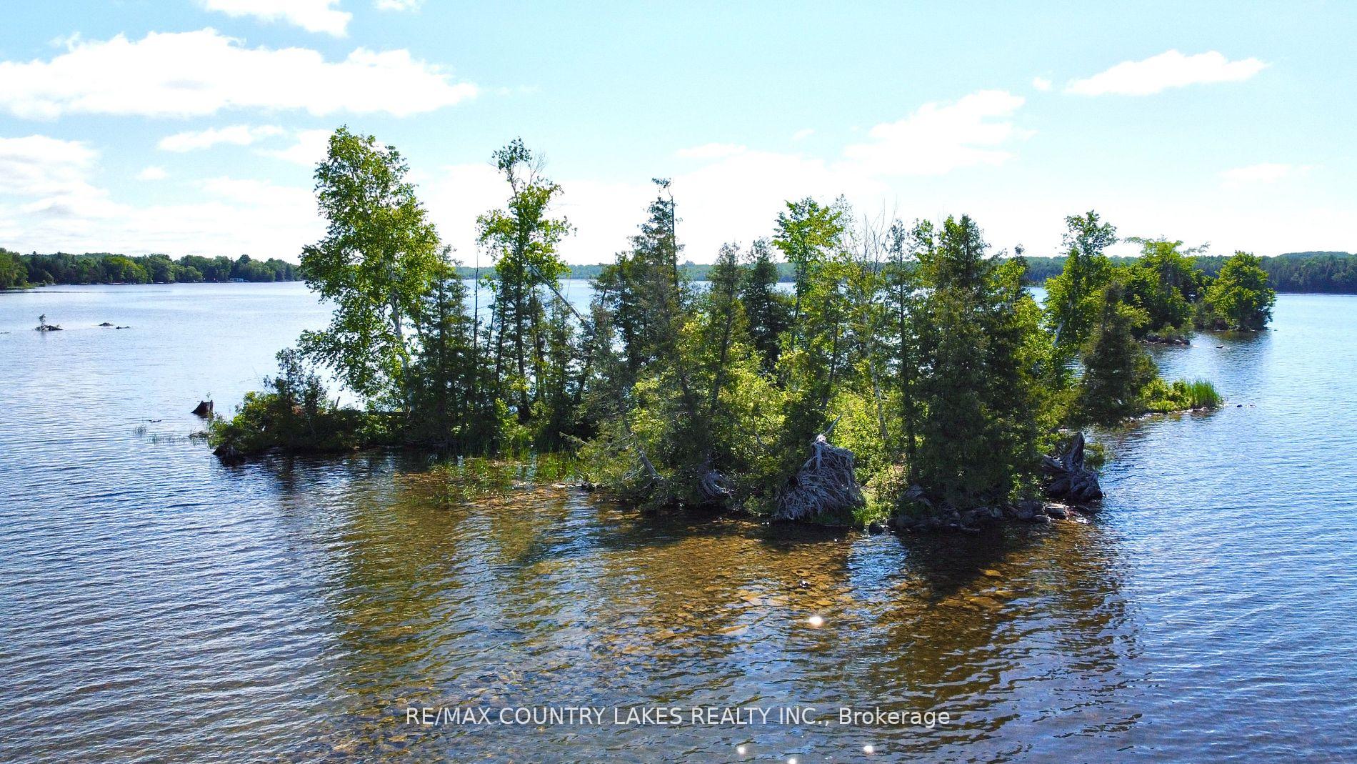 Photo 13 of Lt 1 Island, Kawartha Lakes, Carden — HOMEH