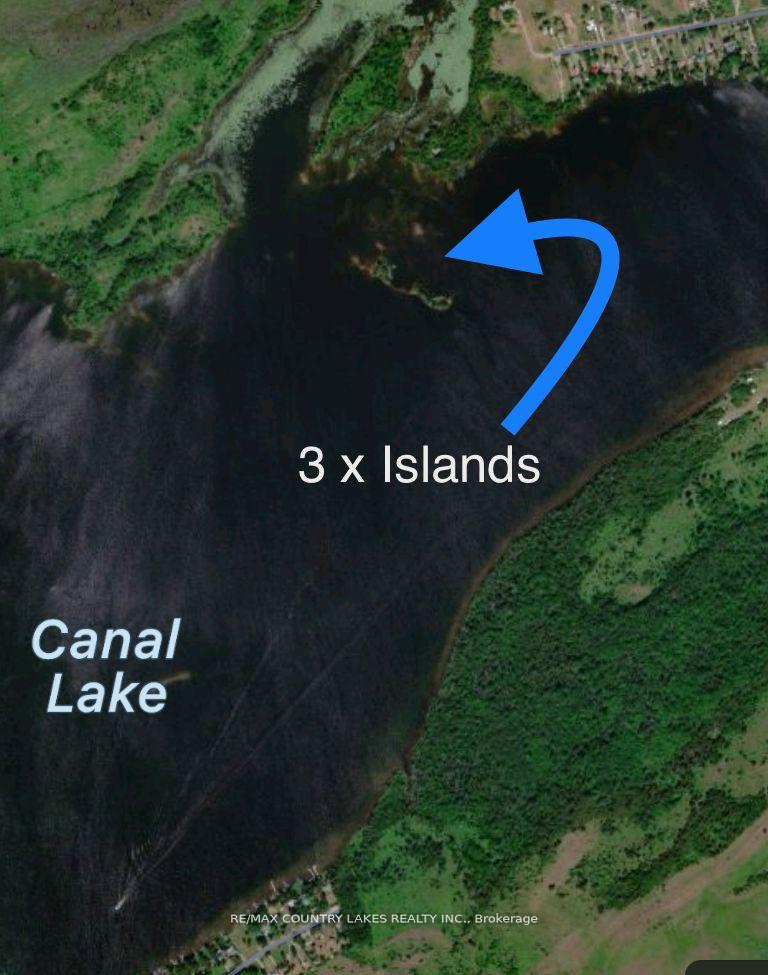 Photo 16 of Lt 1 Island, Kawartha Lakes, Carden — HOMEH