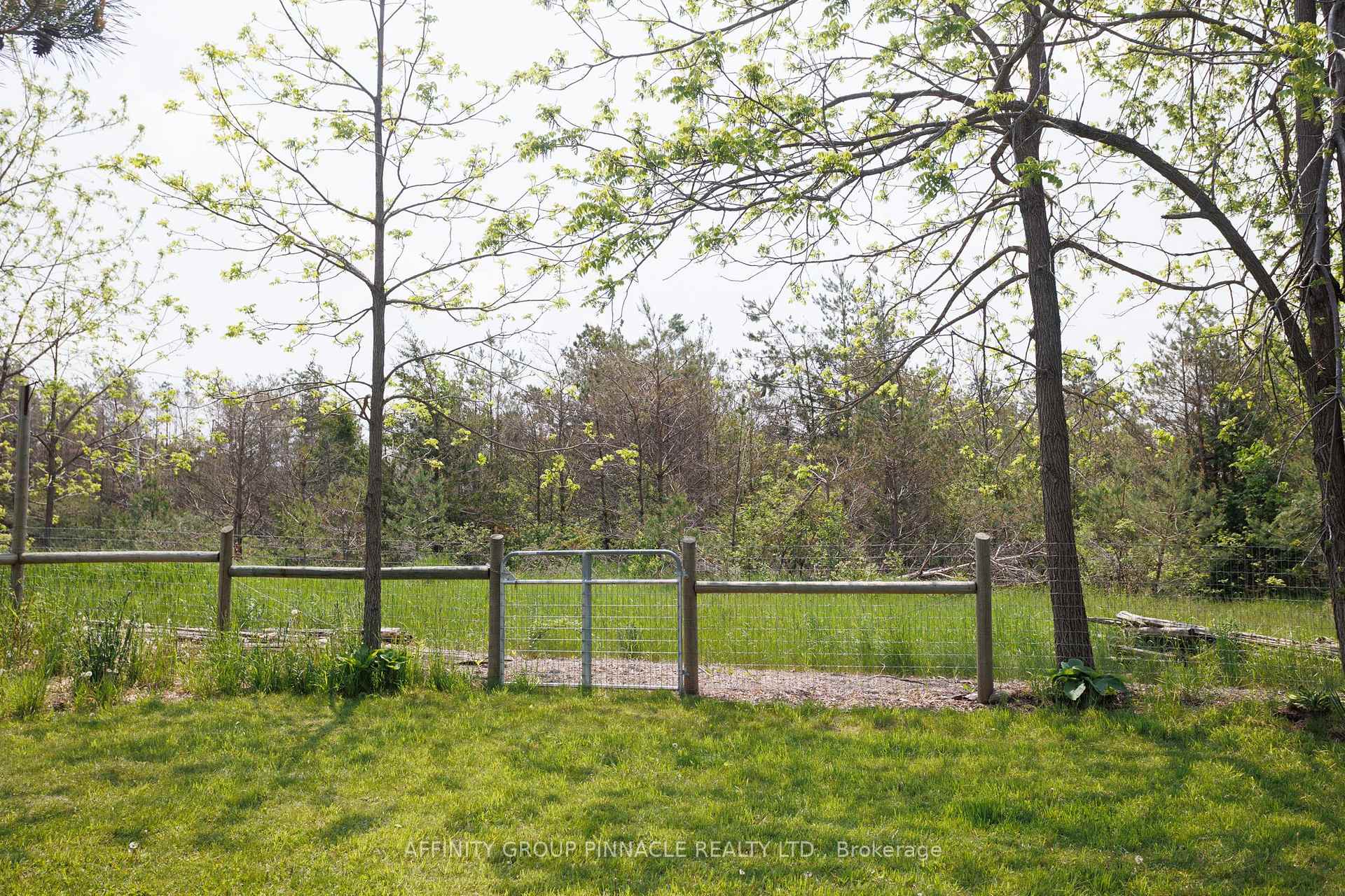 Photo 10 of 51 King Street, Kawartha Lakes, Woodville — HOMEH