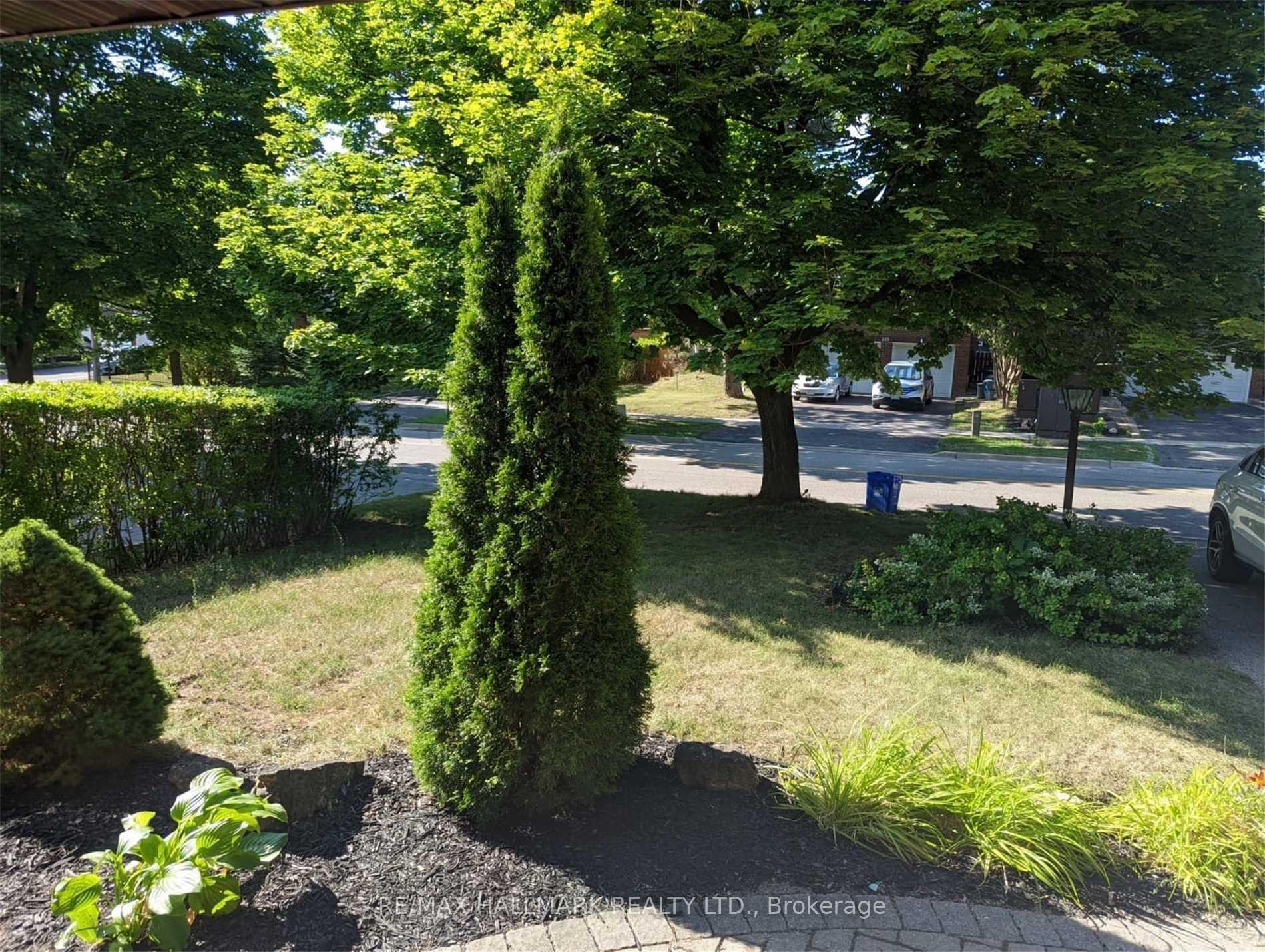 Photo 3 of 234 Romfield Circuit, Markham, Royal Orchard — HOMEH