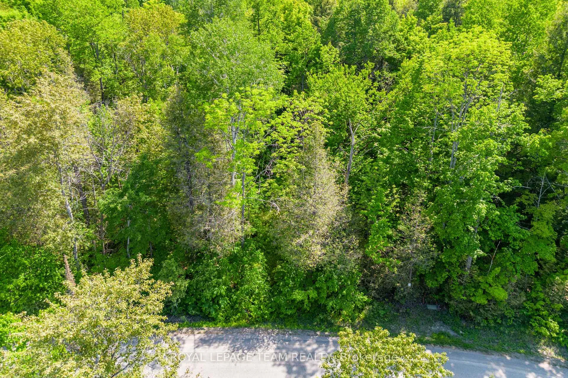 Photo 9 of 01 Mink Lake Road, North Algona Wilberforce, North Algona/Wilberforce Twp — HOMEH