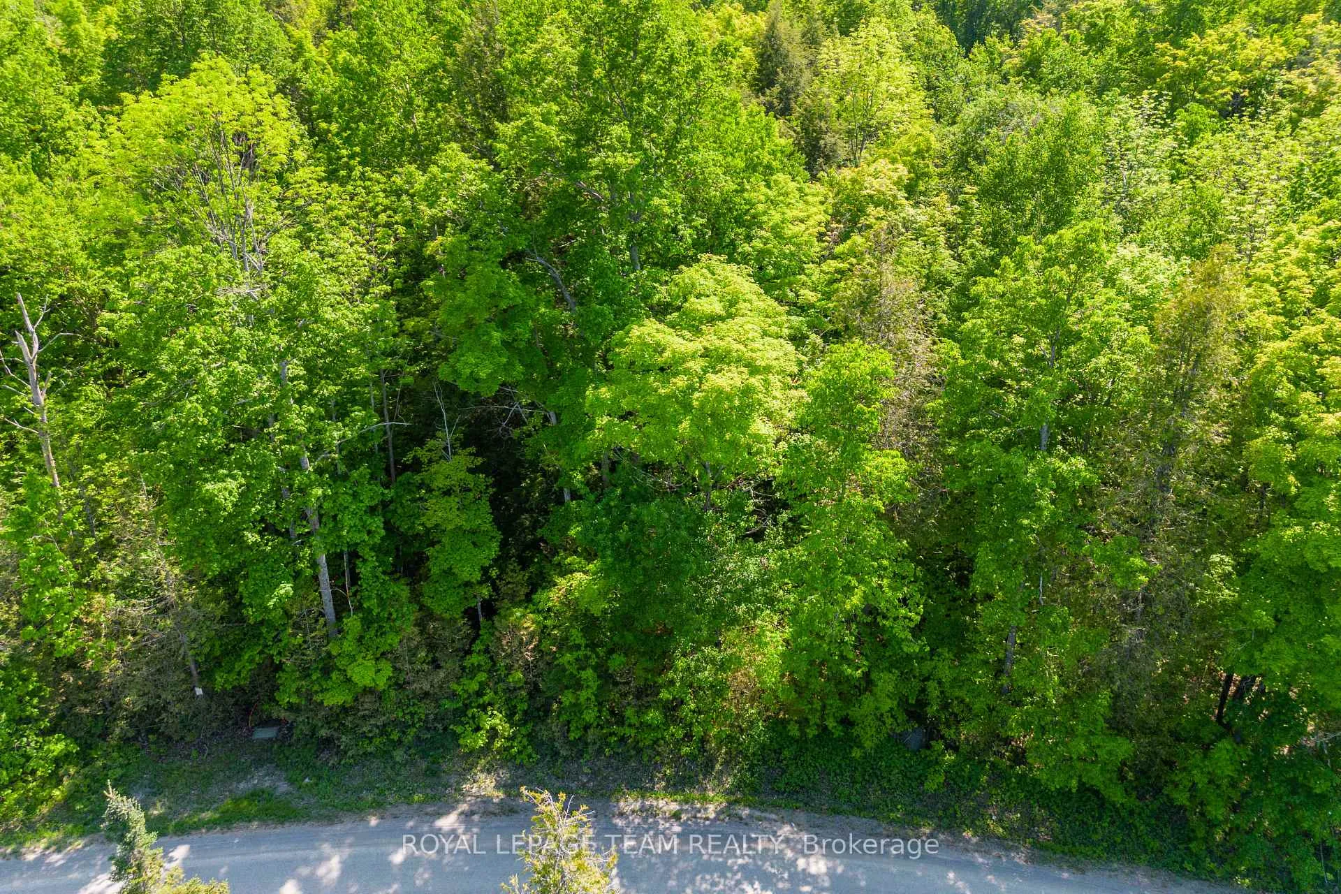Photo 10 of 01 Mink Lake Road, North Algona Wilberforce, North Algona/Wilberforce Twp — HOMEH