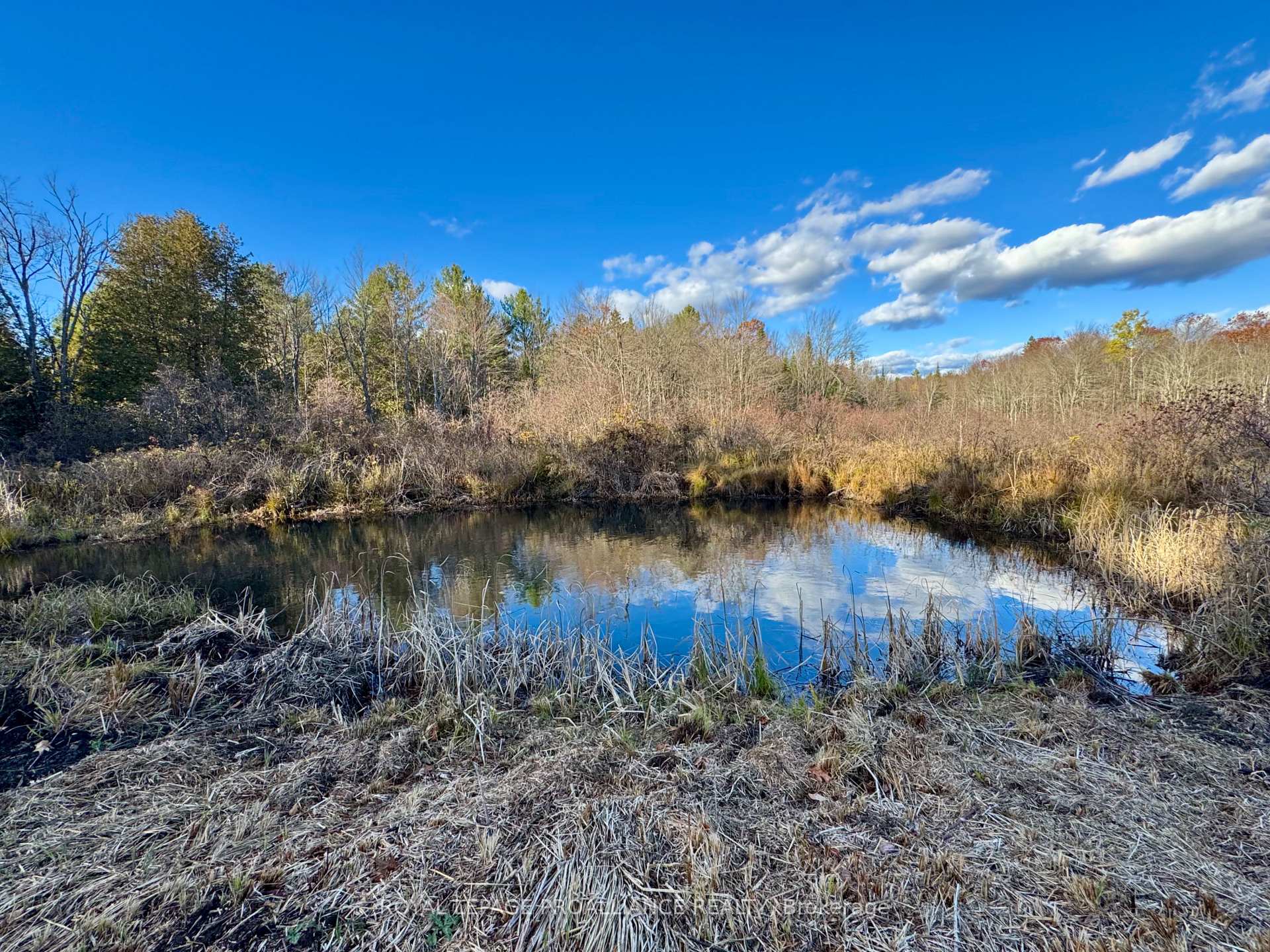 Photo 20 of 412 McCauley's Road, North Kawartha — HOMEH