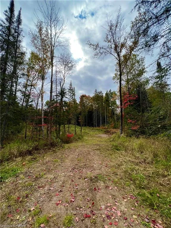 Photo of 1759 Alsace Road