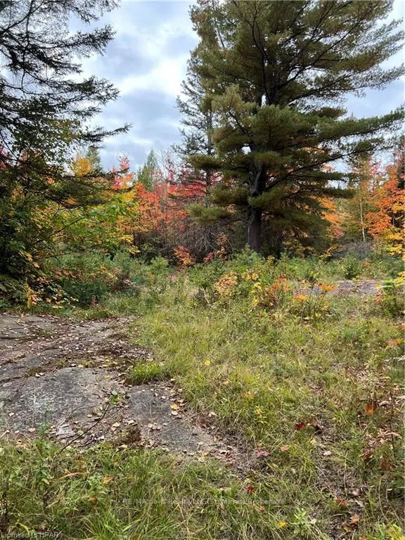 Photo 9 of 1759 Alsace Road, Nipissing — HOMEH