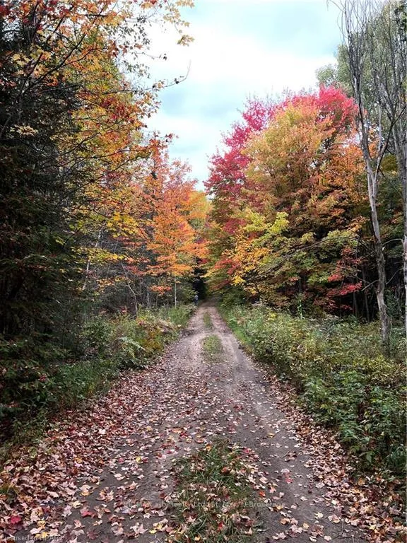 Photo 12 of 1759 Alsace Road, Nipissing — HOMEH