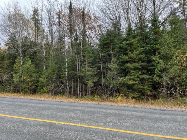 Photo 4 of 534 Highway, Nipissing — HOMEH