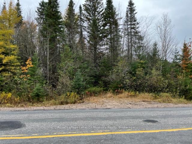 Photo 5 of 534 Highway, Nipissing — HOMEH