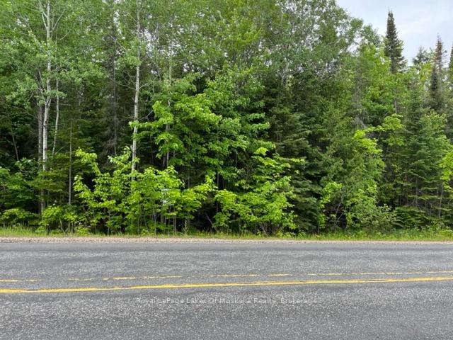 Photo 12 of 534 Highway, Nipissing — HOMEH