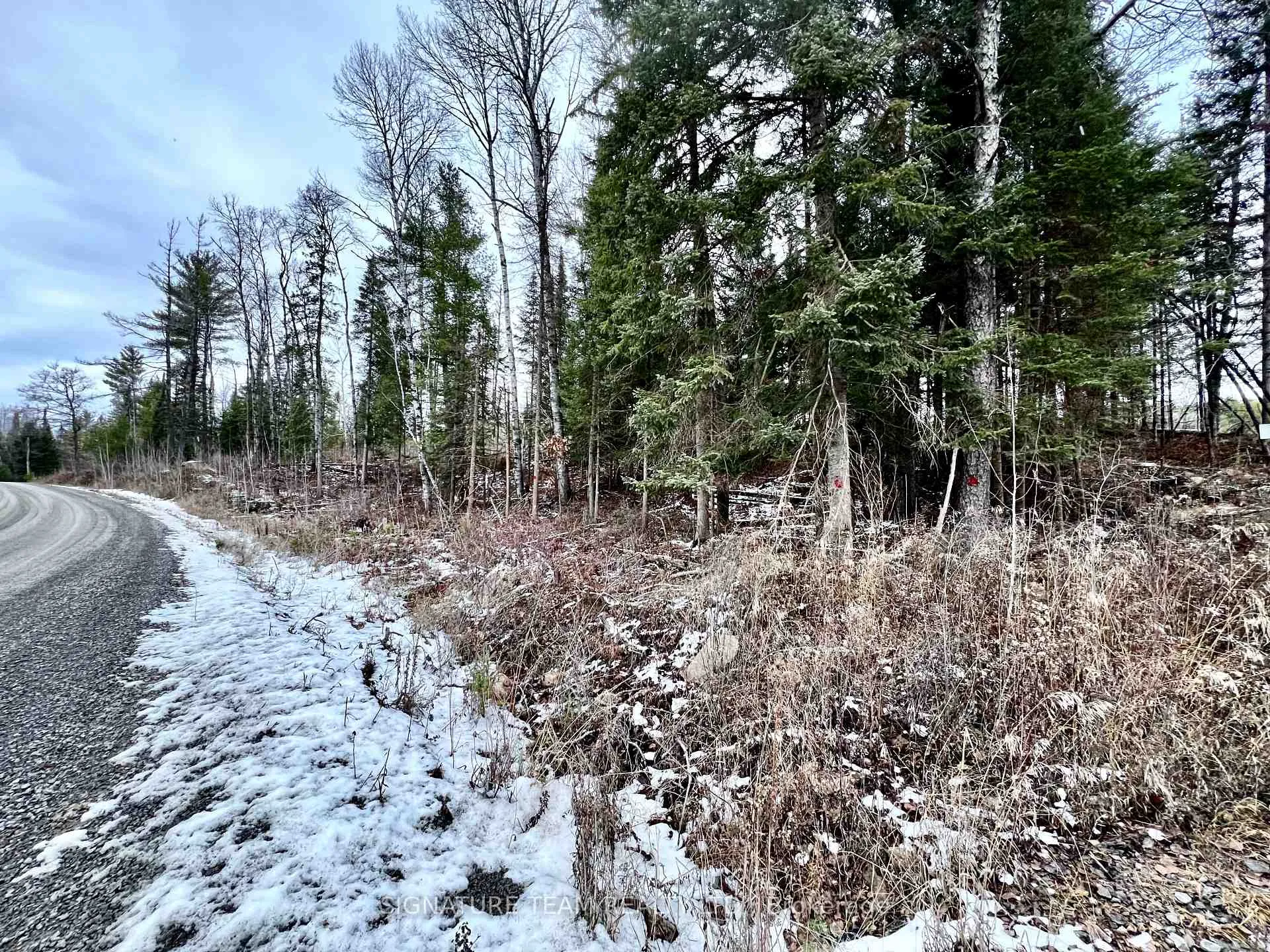Photo 14 of 744 Black Creek Road, North Algona Wilberforce, North Algona/Wilberforce Twp — HOMEH