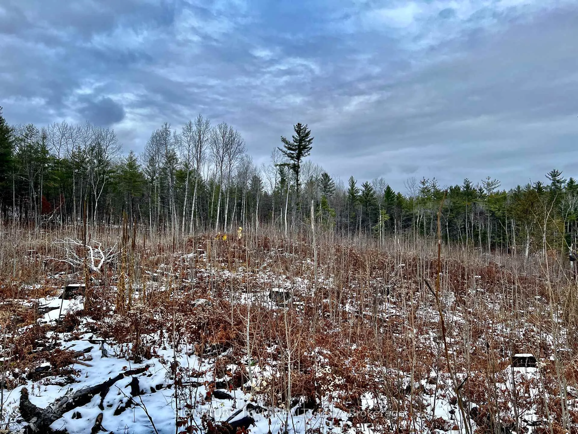Photo 21 of 744 Black Creek Road, North Algona Wilberforce, North Algona/Wilberforce Twp — HOMEH