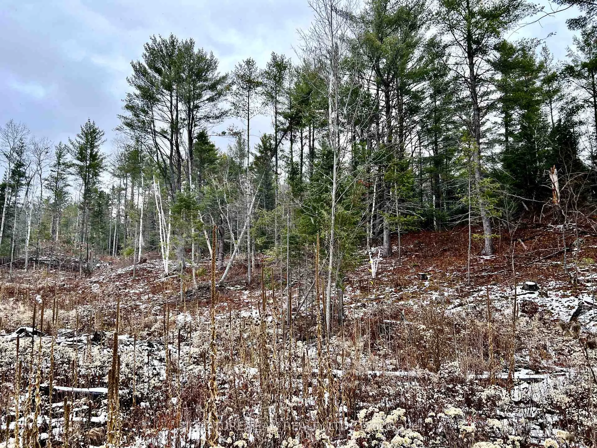 Photo 28 of 744 Black Creek Road, North Algona Wilberforce, North Algona/Wilberforce Twp — HOMEH