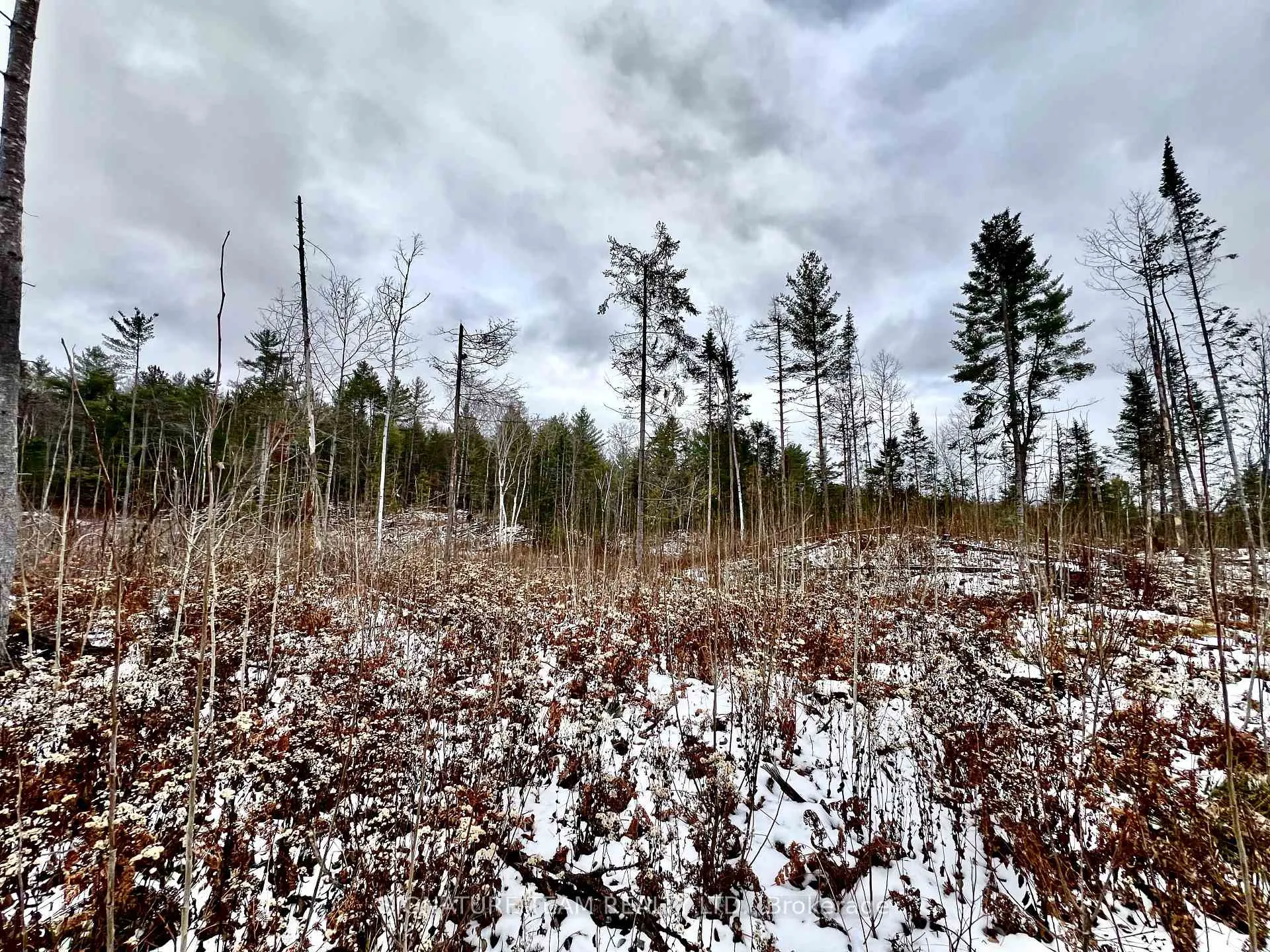 Photo 29 of 744 Black Creek Road, North Algona Wilberforce, North Algona/Wilberforce Twp — HOMEH