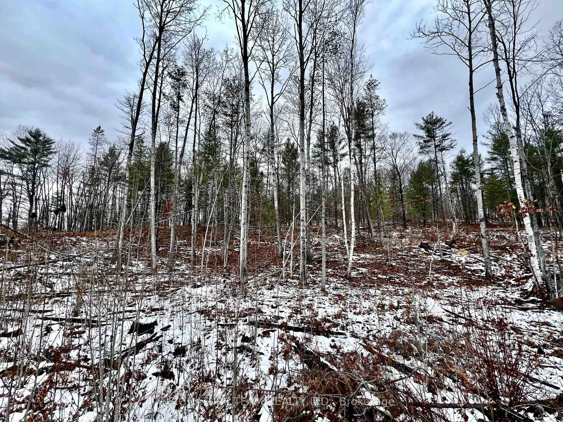 Photo 32 of 744 Black Creek Road, North Algona Wilberforce, North Algona/Wilberforce Twp — HOMEH