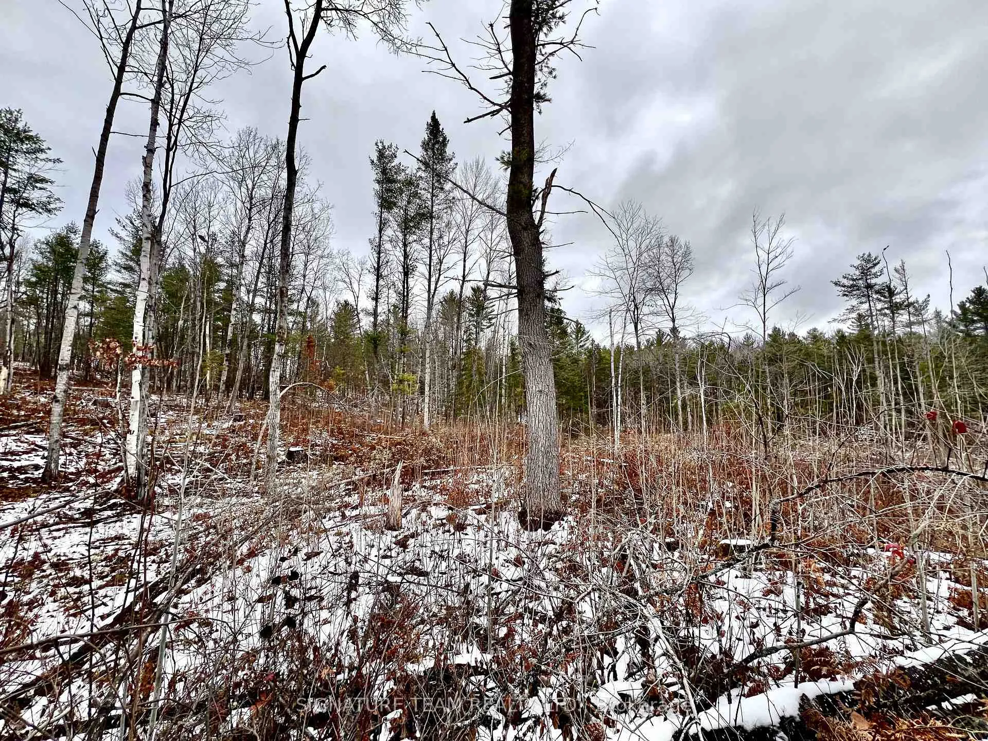 Photo 33 of 744 Black Creek Road, North Algona Wilberforce, North Algona/Wilberforce Twp — HOMEH