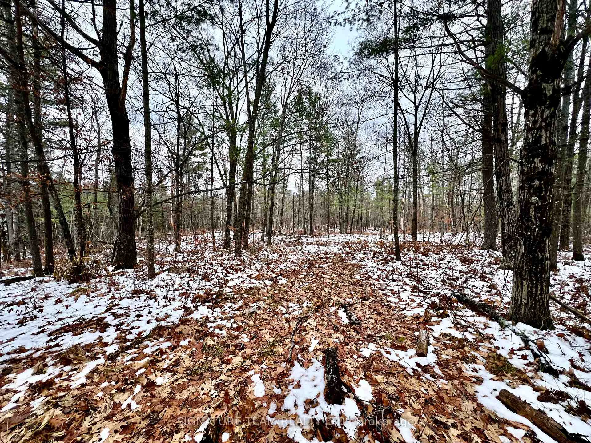 Photo 40 of 744 Black Creek Road, North Algona Wilberforce, North Algona/Wilberforce Twp — HOMEH