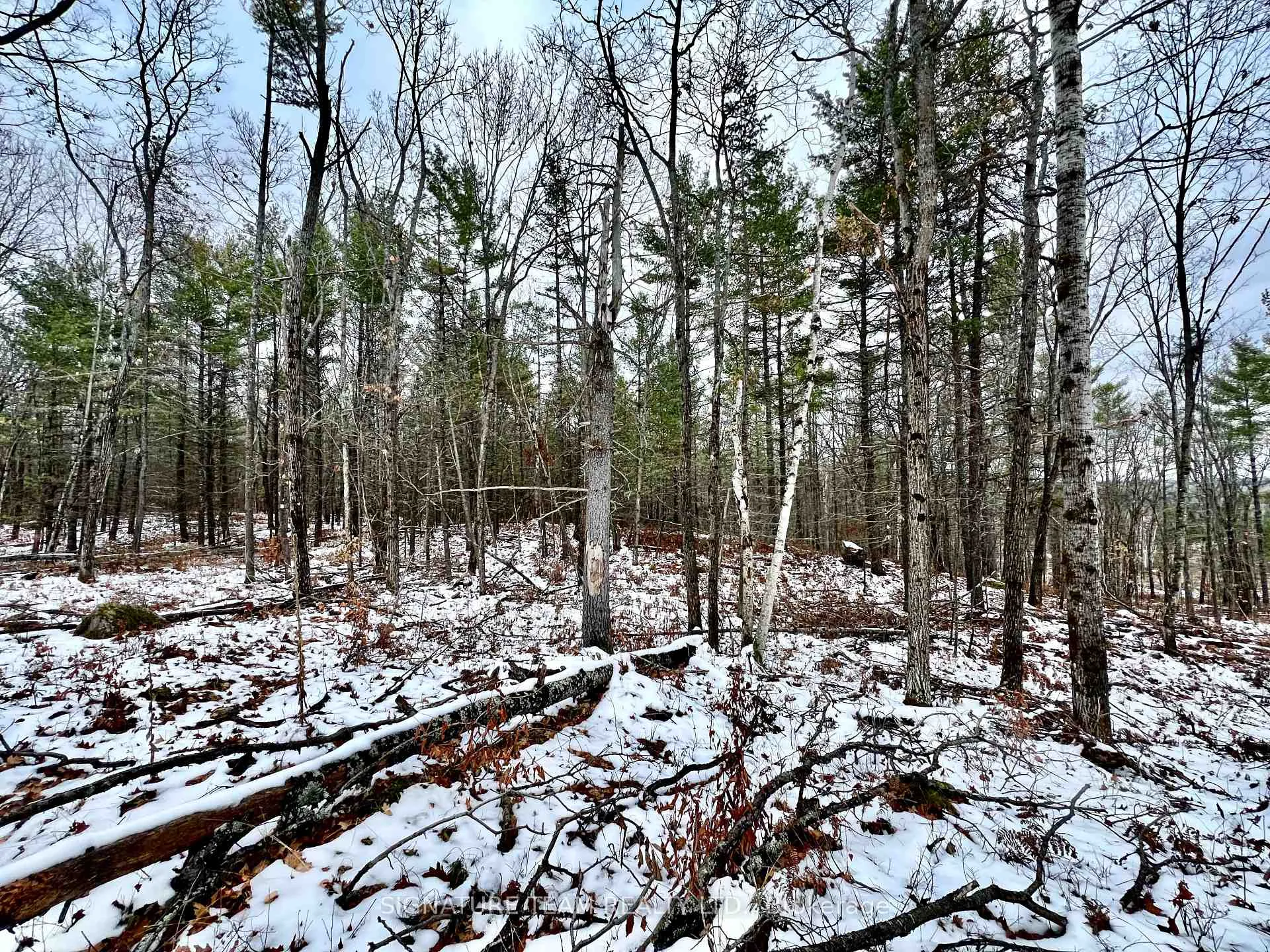 Photo 41 of 744 Black Creek Road, North Algona Wilberforce, North Algona/Wilberforce Twp — HOMEH