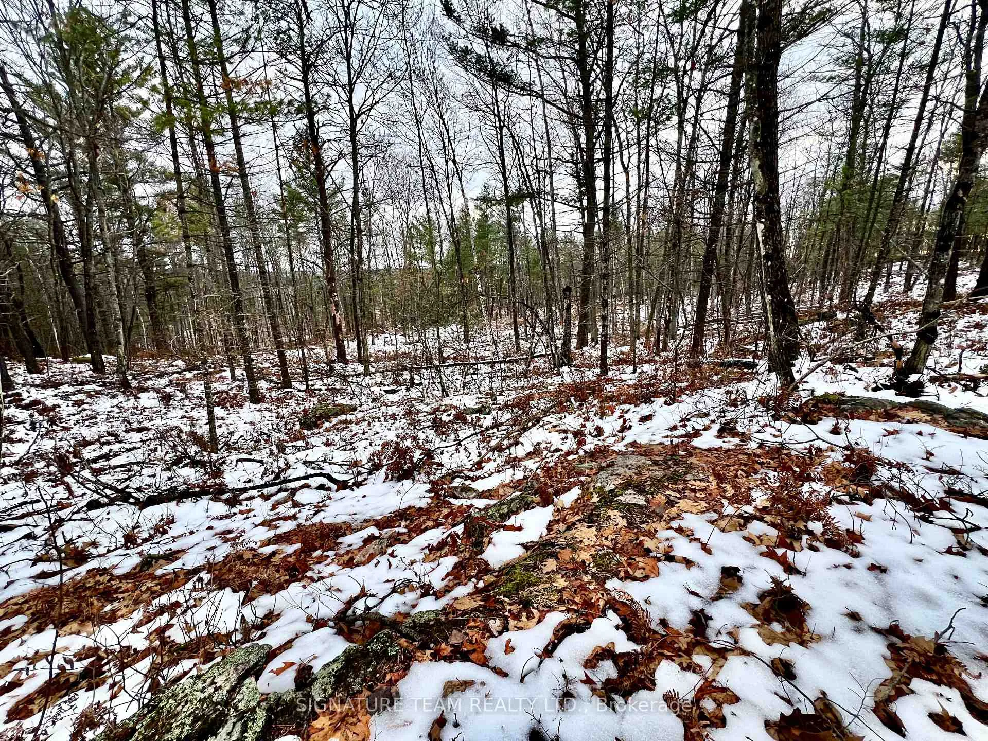 Photo 43 of 744 Black Creek Road, North Algona Wilberforce, North Algona/Wilberforce Twp — HOMEH