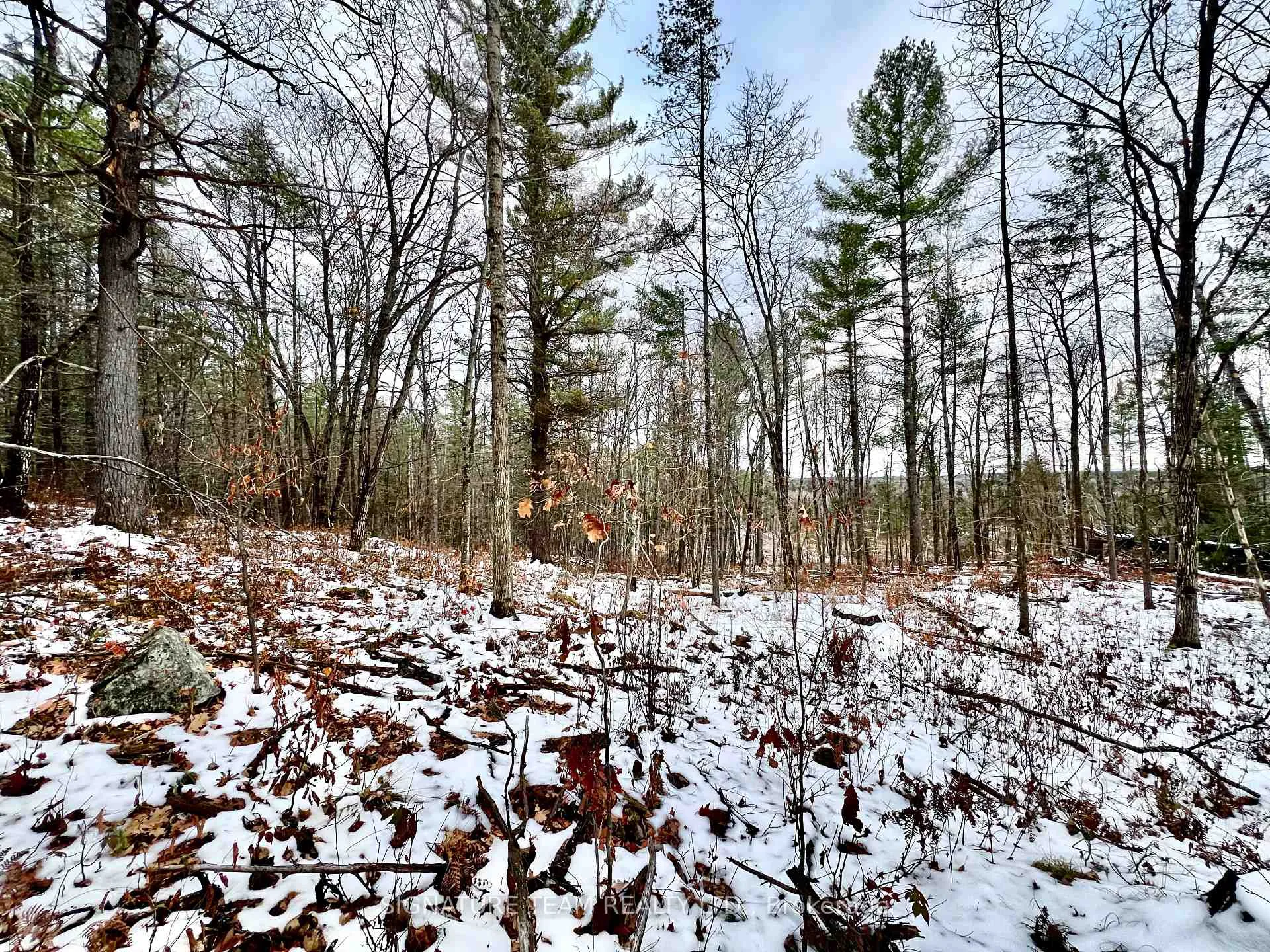 Photo 45 of 744 Black Creek Road, North Algona Wilberforce, North Algona/Wilberforce Twp — HOMEH