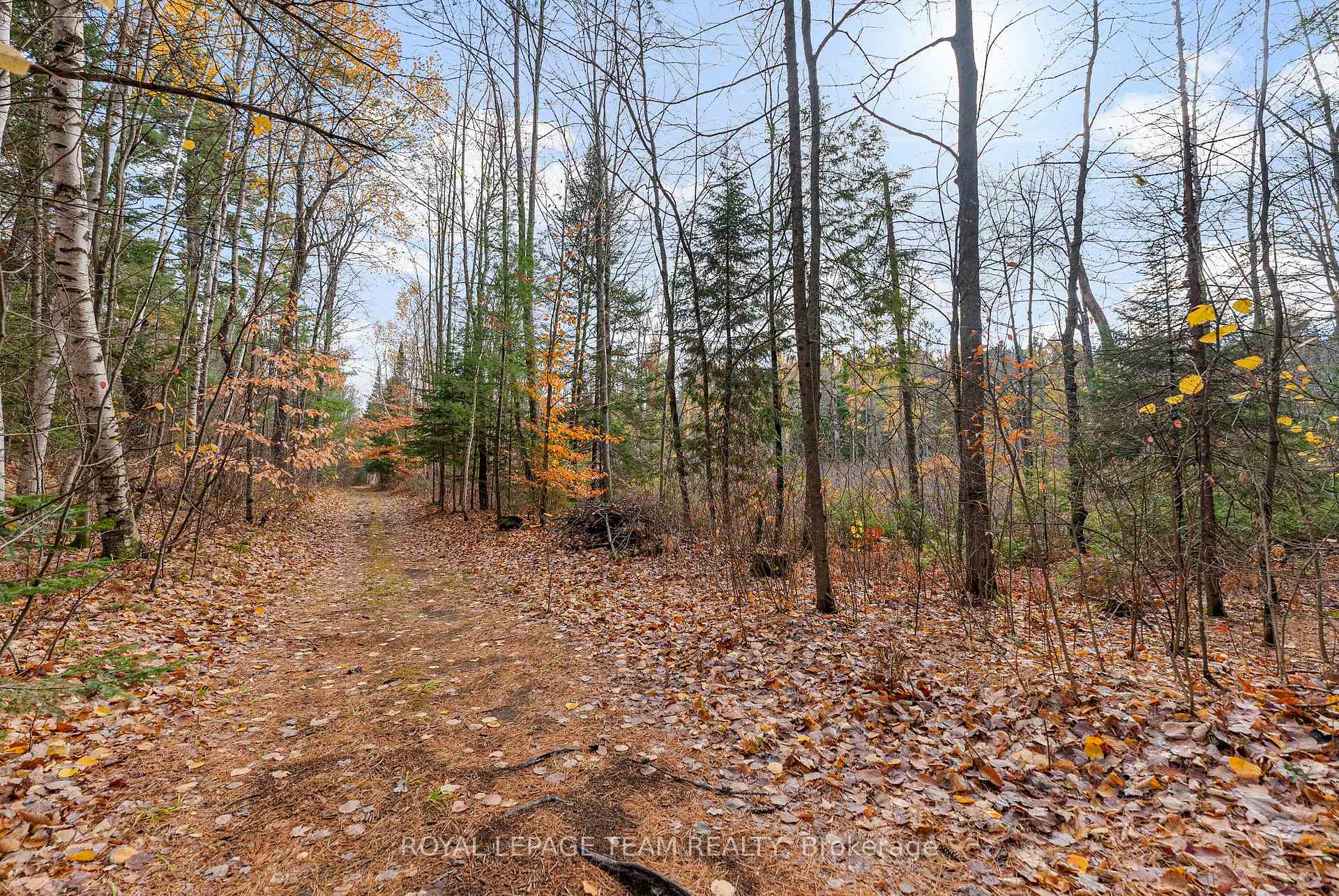 Photo 37 of 725 Marsh Road, North Algona Wilberforce, North Algona/Wilberforce Twp — HOMEH