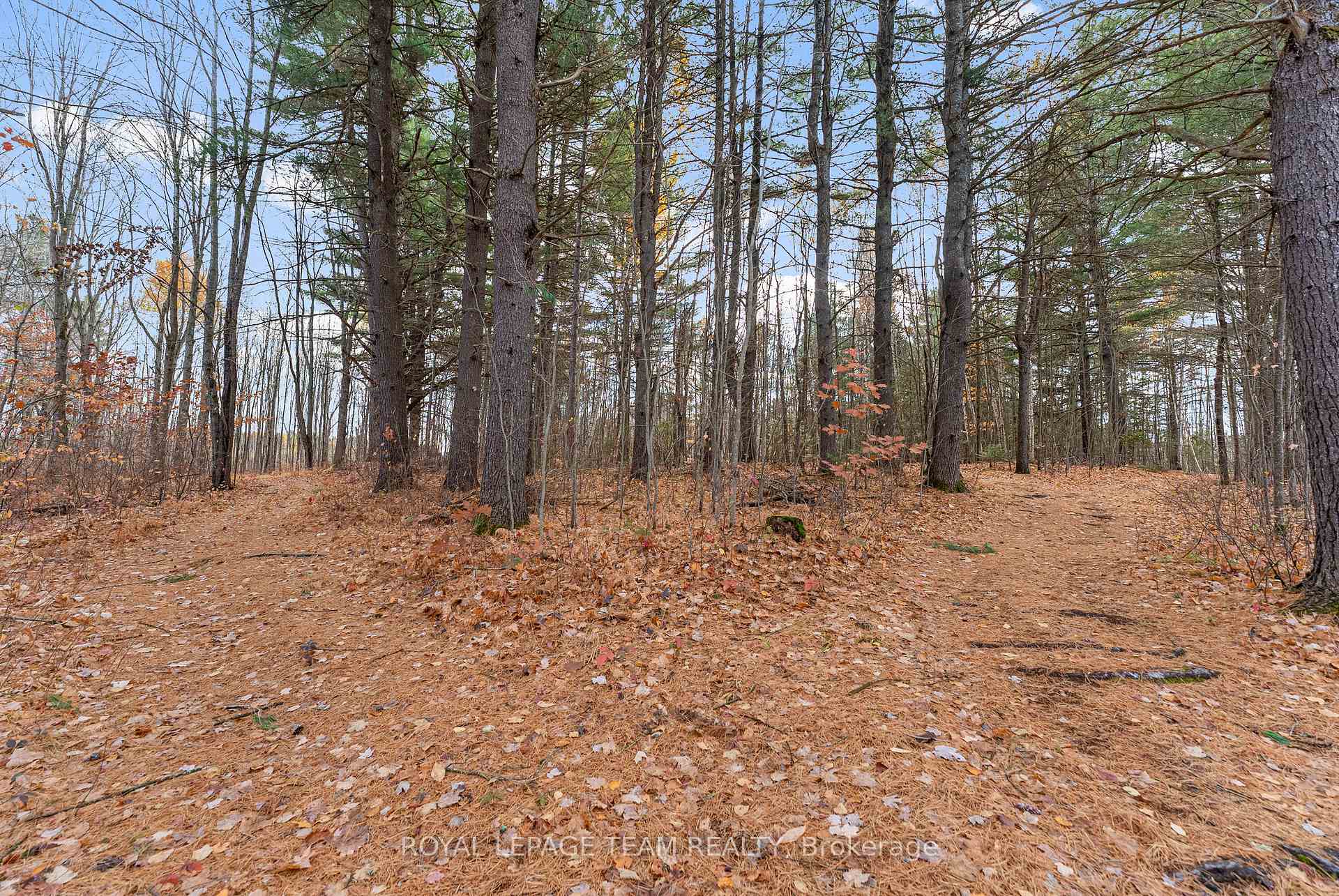 Photo 38 of 725 Marsh Road, North Algona Wilberforce, North Algona/Wilberforce Twp — HOMEH