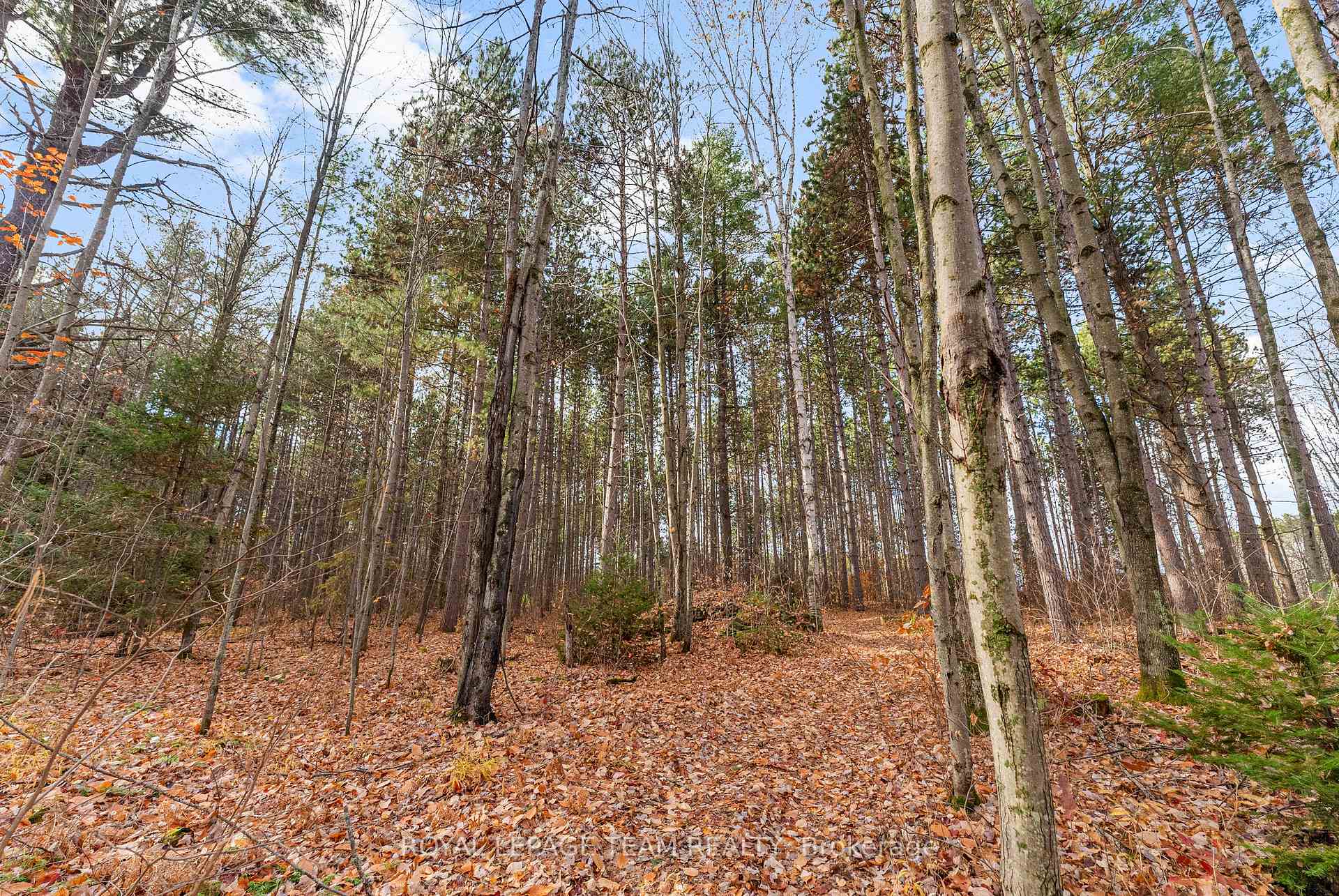 Photo 41 of 725 Marsh Road, North Algona Wilberforce, North Algona/Wilberforce Twp — HOMEH