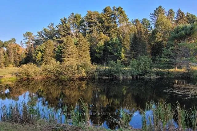Photo 32 of 669 Rye Road, Parry Sound — HOMEH