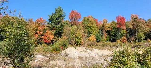 Photo 35 of 669 Rye Road, Parry Sound — HOMEH
