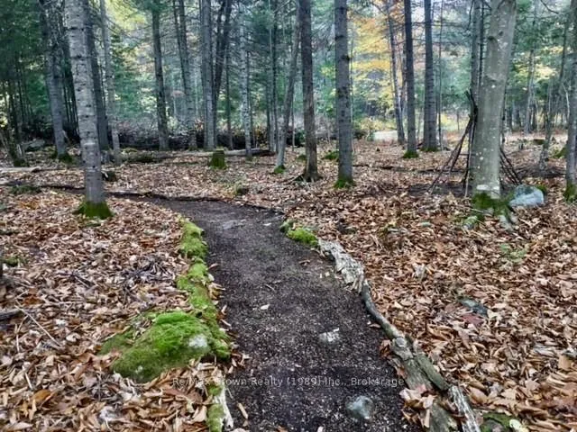 Photo 13 of Pilgers Road, Nipissing — HOMEH