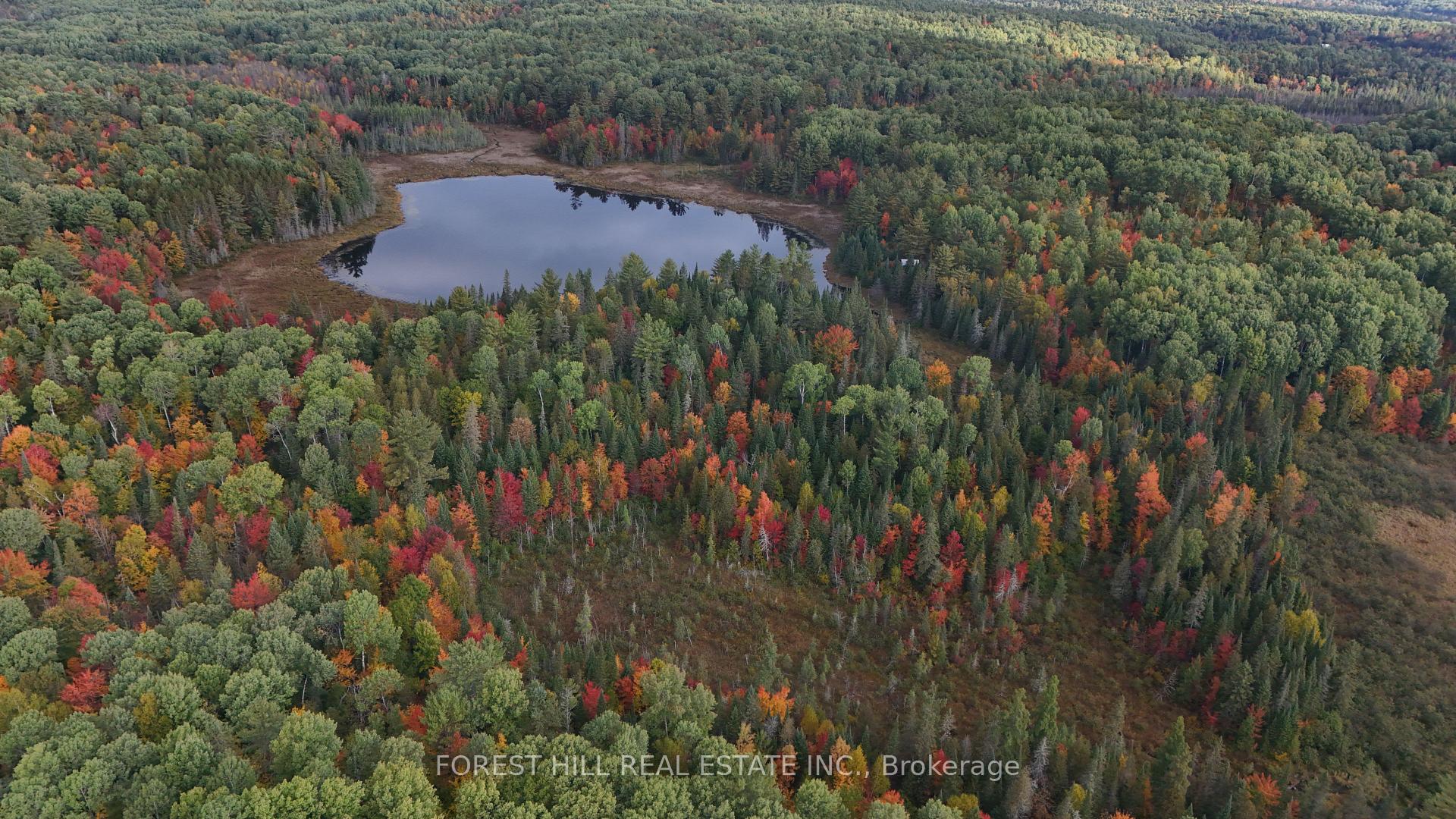 Photo 7 of 675 Dore Bay Road, North Algona Wilberforce, North Algona/Wilberforce Twp — HOMEH