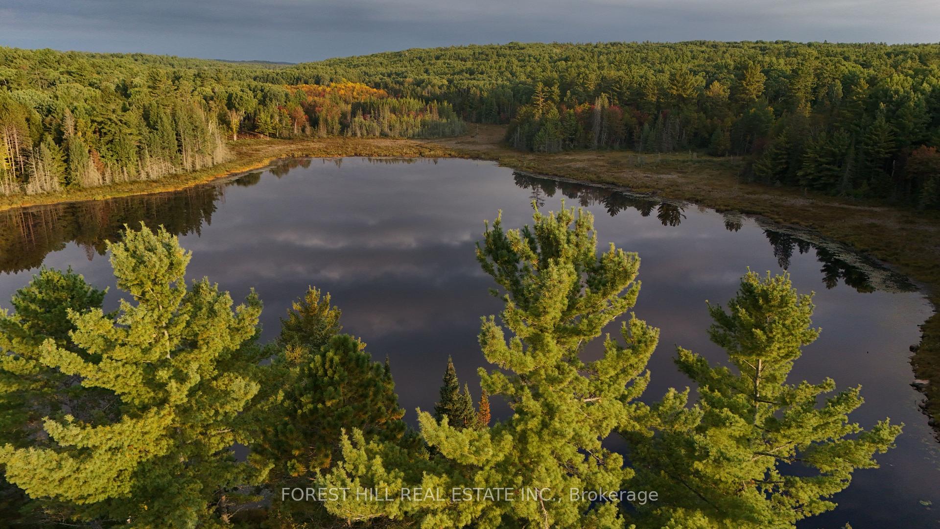 Photo 9 of 675 Dore Bay Road, North Algona Wilberforce, North Algona/Wilberforce Twp — HOMEH