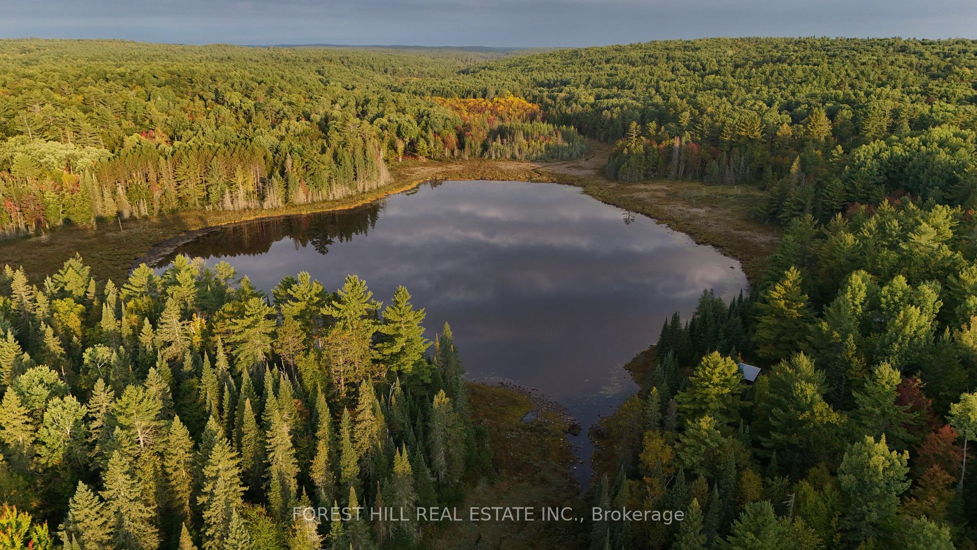 Photo 10 of 675 Dore Bay Road, North Algona Wilberforce, North Algona/Wilberforce Twp — HOMEH