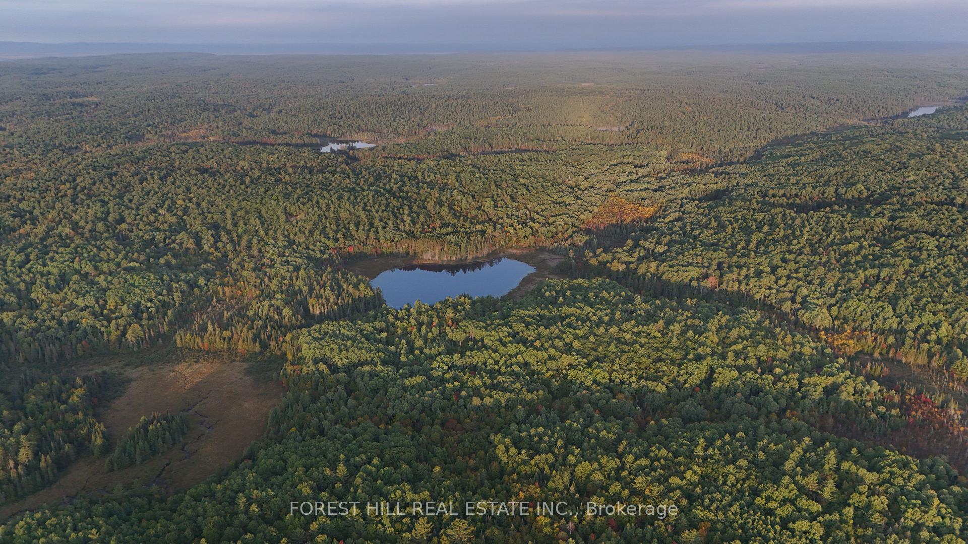 Photo 11 of 675 Dore Bay Road, North Algona Wilberforce, North Algona/Wilberforce Twp — HOMEH