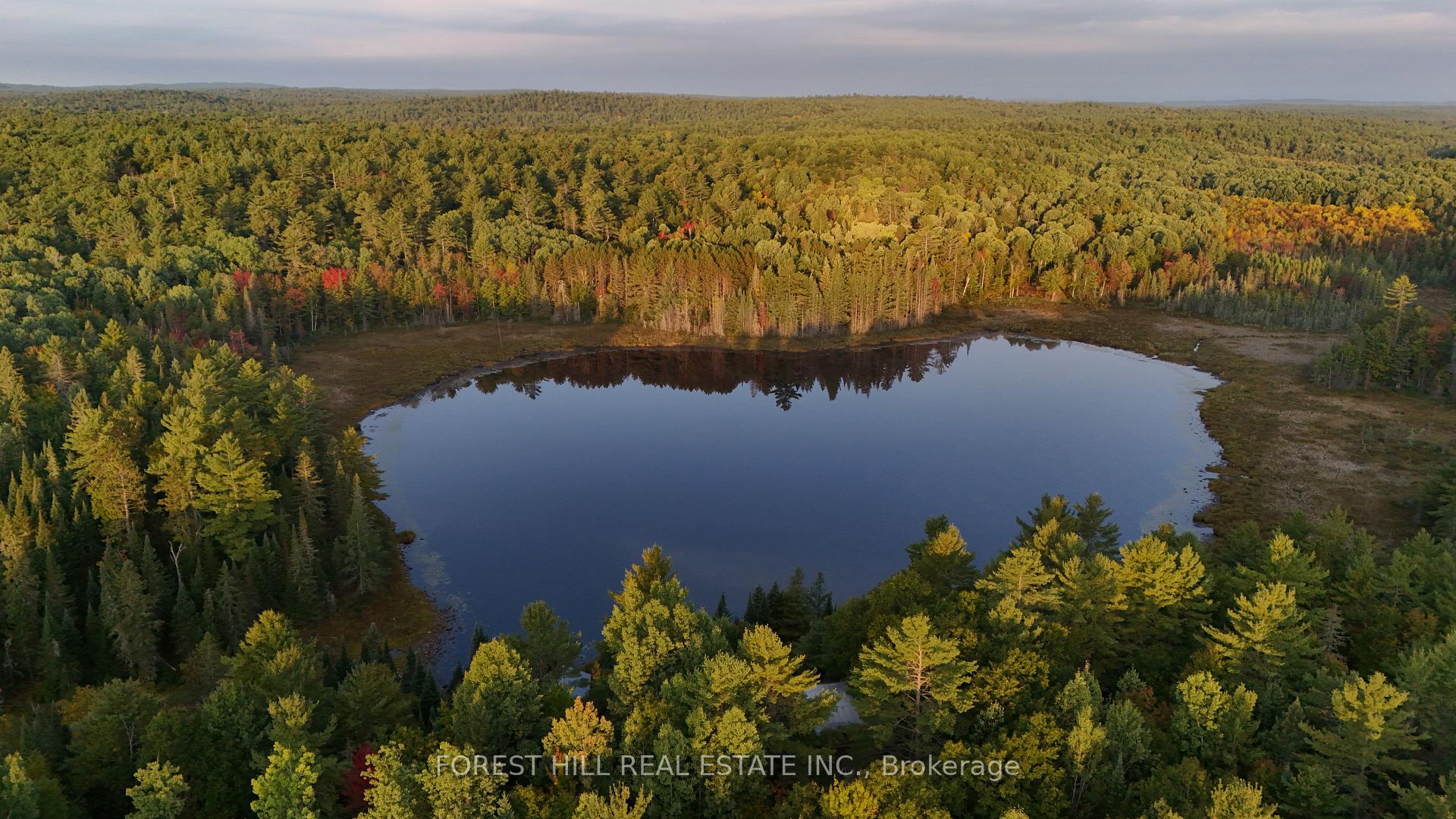 Photo 12 of 675 Dore Bay Road, North Algona Wilberforce, North Algona/Wilberforce Twp — HOMEH
