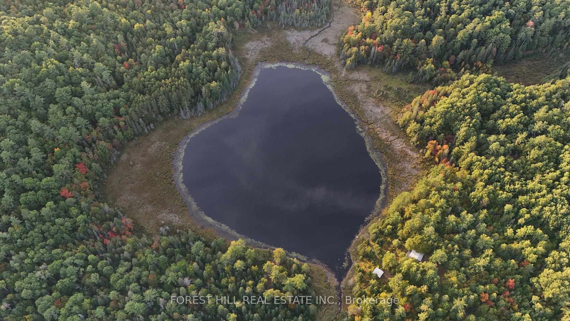 Photo 15 of 675 Dore Bay Road, North Algona Wilberforce, North Algona/Wilberforce Twp — HOMEH