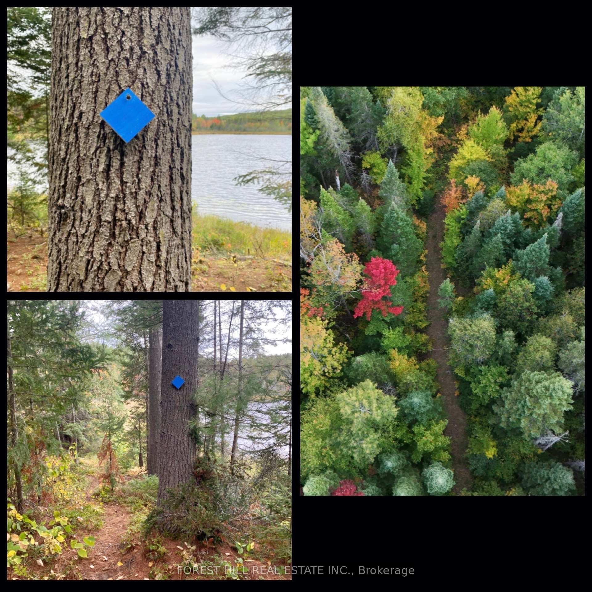 Photo 34 of 675 Dore Bay Road, North Algona Wilberforce, North Algona/Wilberforce Twp — HOMEH