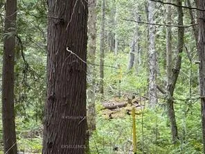Photo 3 of 00 Kenyon Acres, North Glengarry, North Glengarry (Kenyon) Twp — HOMEH