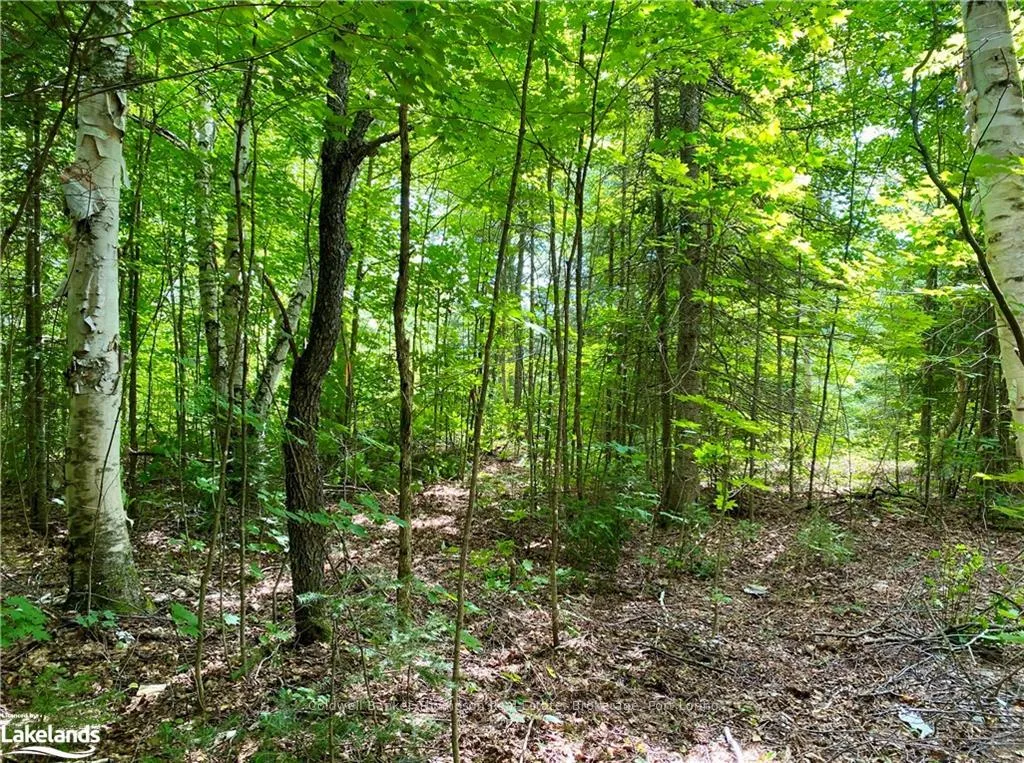 Photo 5 of 151 Maple Drive, Parry Sound Remote Area, Wilson — HOMEH