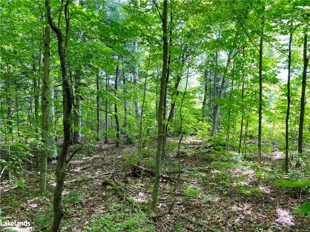 Photo 6 of 151 Maple Drive, Parry Sound Remote Area, Wilson — HOMEH