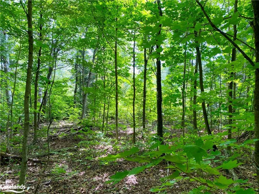 Photo 7 of 151 Maple Drive, Parry Sound Remote Area, Wilson — HOMEH