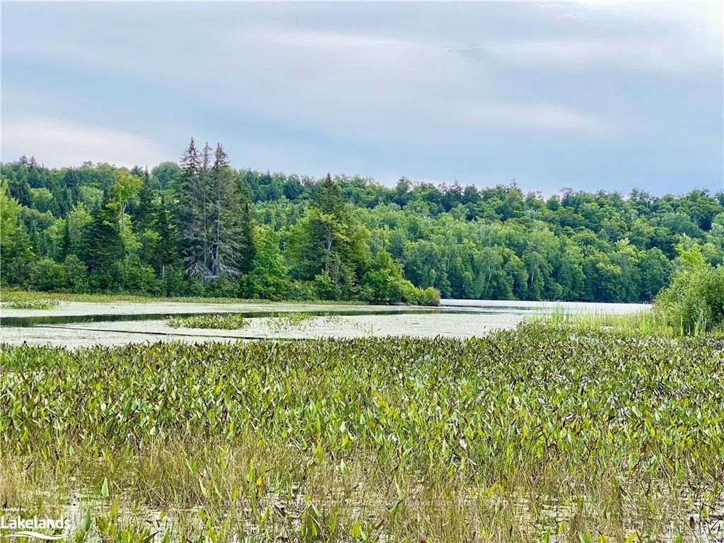 Photo 9 of 151 Maple Drive, Parry Sound Remote Area, Wilson — HOMEH