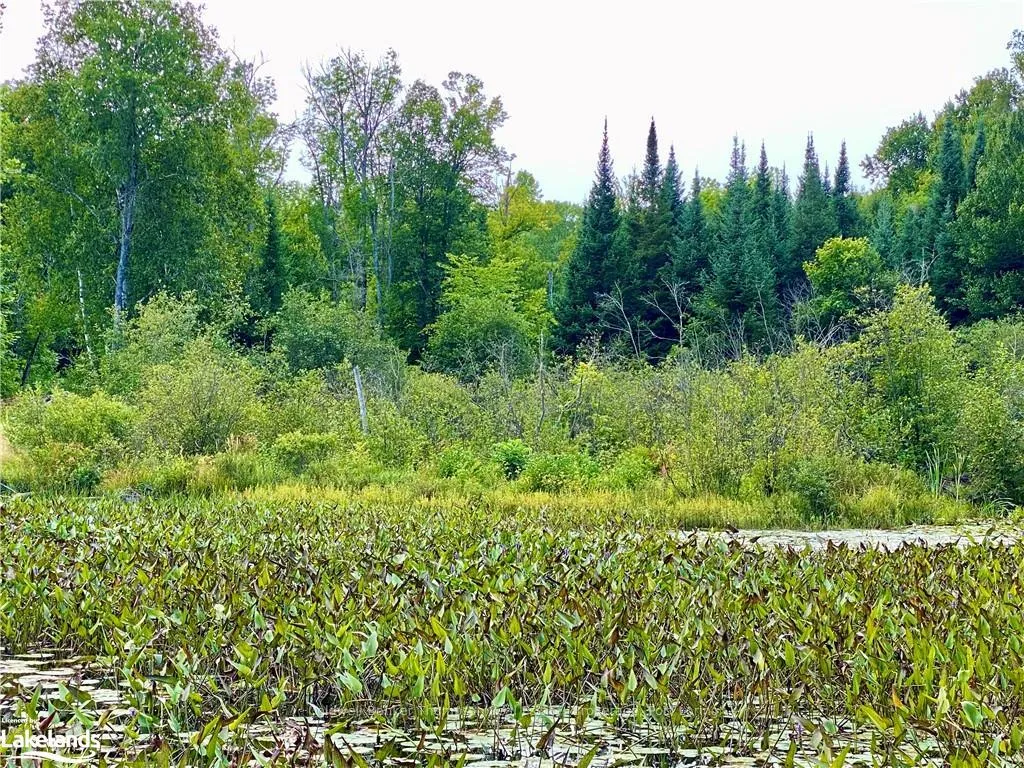 Photo 10 of 151 Maple Drive, Parry Sound Remote Area, Wilson — HOMEH